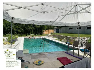Naturpools & Schwimmteiche Bild 3